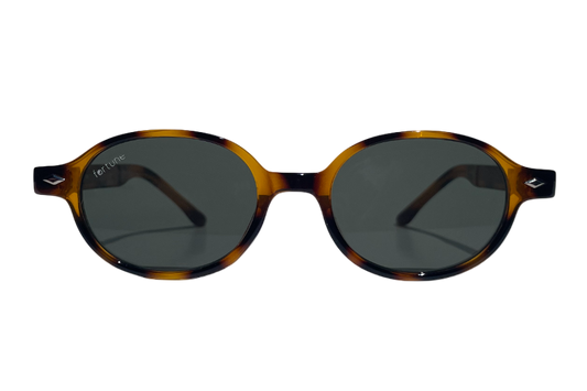 mens sunglasses nz, sunglasses nz, womens sunglasses nz, sunglasses for men, cheap sunglasses, sunglasses auckland, sunglass nz, fortune eyewear, eyewear, sunglasses Wanaka, Australia sunglasses, sunglasses christchurch