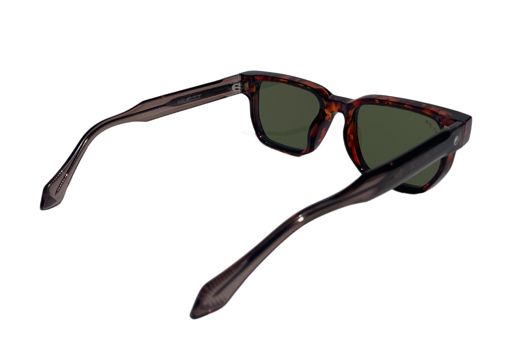 mens sunglasses nz, sunglasses nz, womens sunglasses nz, sunglasses for men, cheap sunglasses, sunglasses auckland, sunglass nz, fortune eyewear, eyewear, sunglasses Wanaka, Australia sunglasses, sunglasses Christchurch,