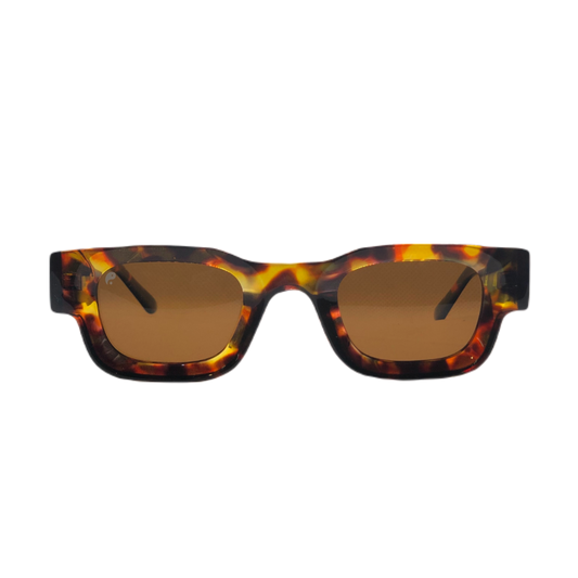 mens sunglasses nz, sunglasses nz, womens sunglasses nz, sunglasses for men, cheap sunglasses, sunglasses auckland, sunglass nz, fortune eyewear, eyewear, wanaka sunglasses